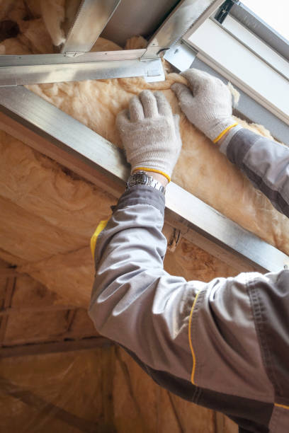 Best Blown-In Insulation  in Pocono Springs, PA