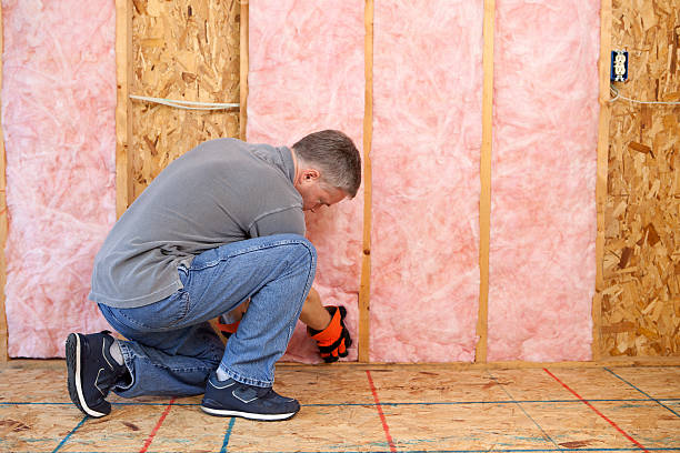 Best Basement Insulation  in Pocono Springs, PA